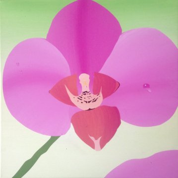 31. Orchidej