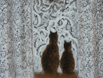 Dvě kočky na okně