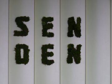 Zákulisí výstavy SEN/DEN